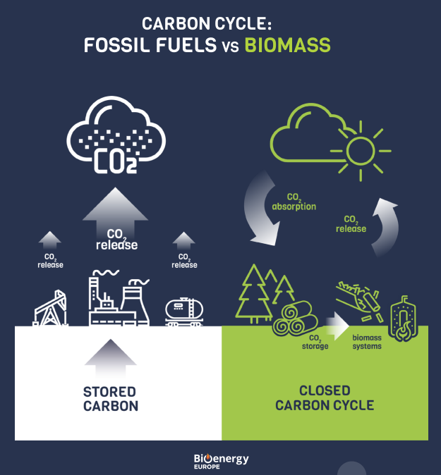 Cykl obiegu węgla paliwa kopalne vs biomasa