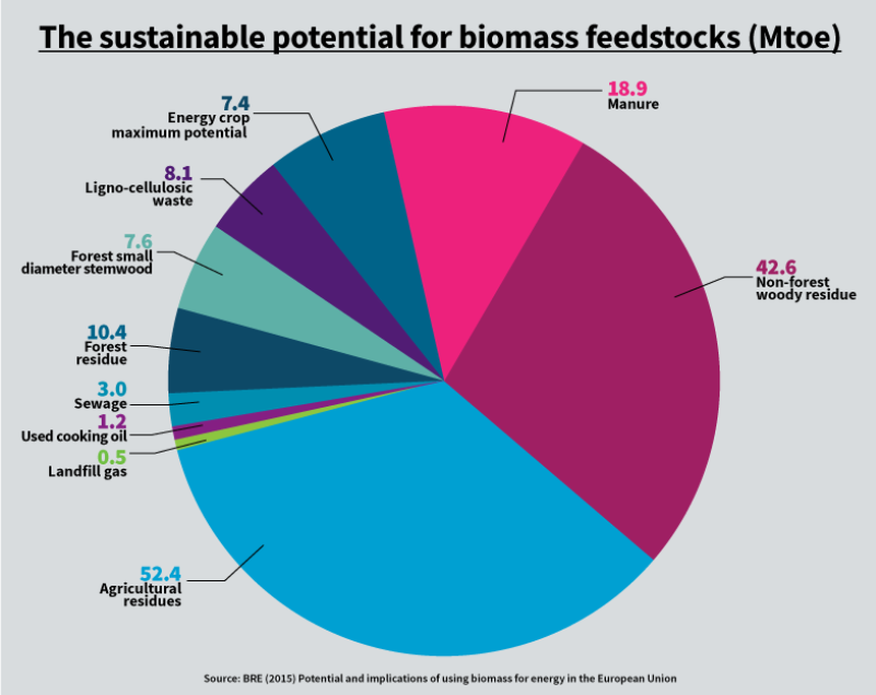 Zrównoważony potencjał biomasy